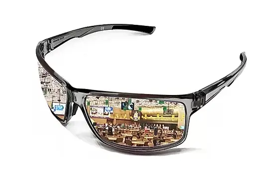 THE BULL SHARK BIFOCAL